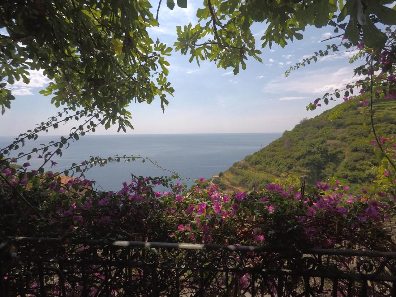 Cinqueterre Holidays Riomaggiore Esterno foto